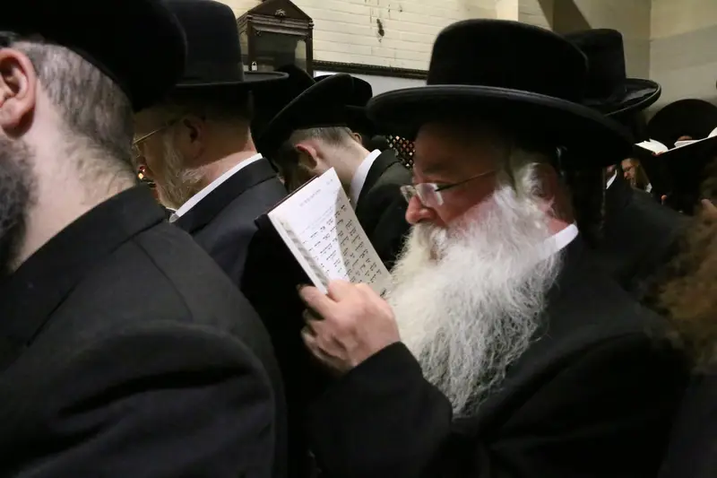 ההילולא בקרעסטירר צילום שלומי טריכטר (34)