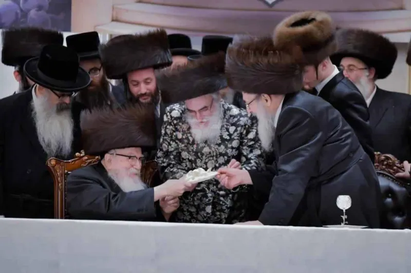 אירוסין ויז'ניץ צילום יהושע פרוכטר (18)