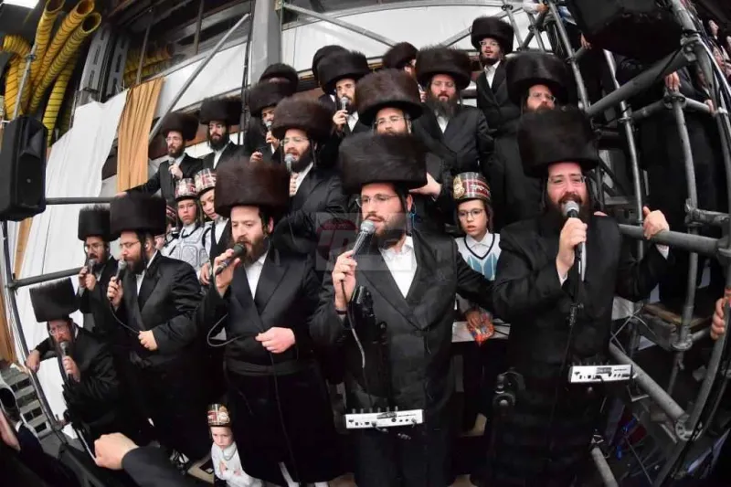 ויז'ניץ אויפרויף צילום יהושע פרוכטר (28)