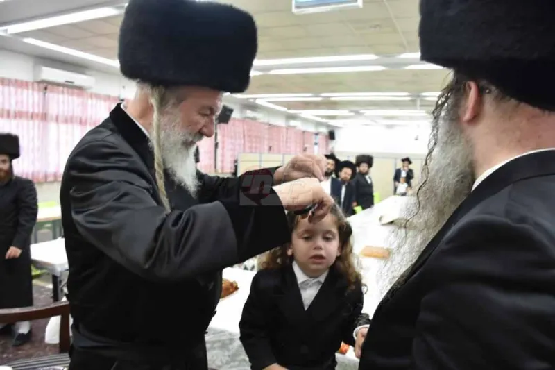 אשלג במירון צילום יהודה פרקוביץ (5)