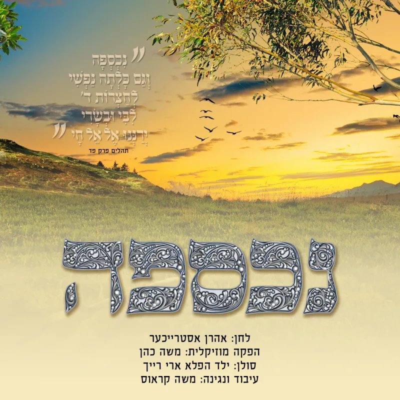 ארי רייך