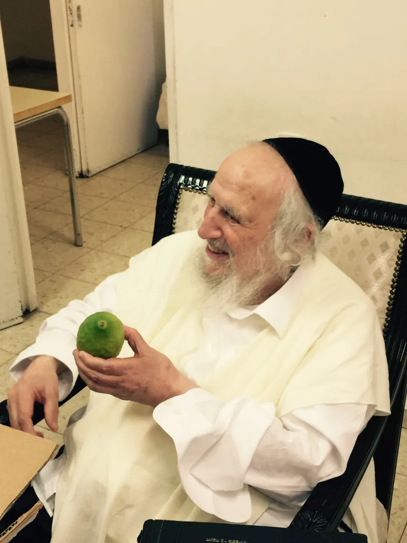 אתרוגים - עותק