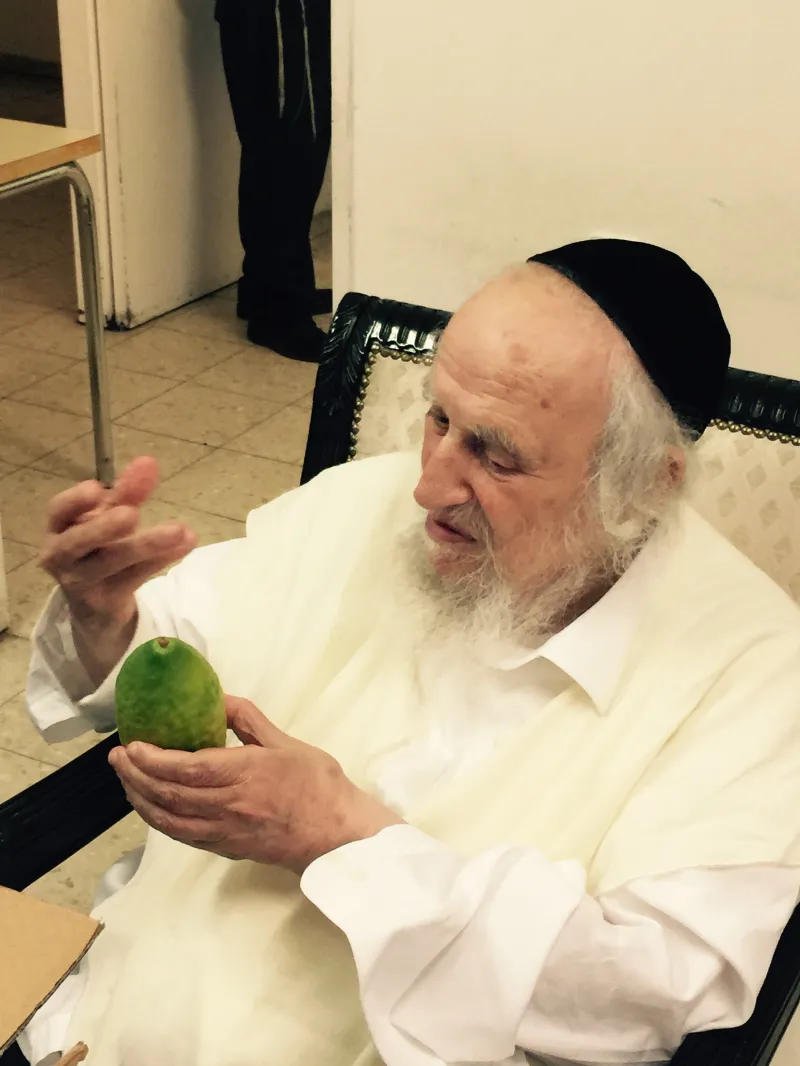 אתרוגים 3 (1)
