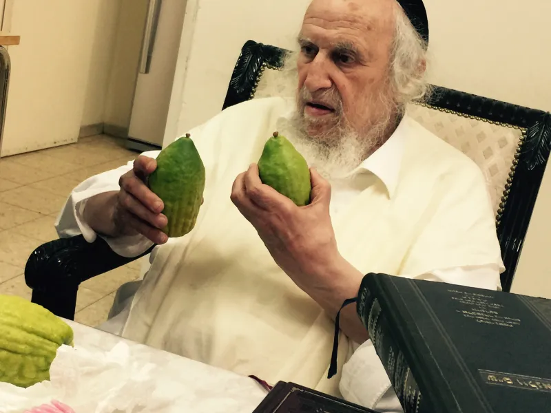 אתרוגים 5 (1)