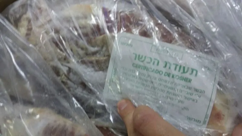 בית יוסף 2