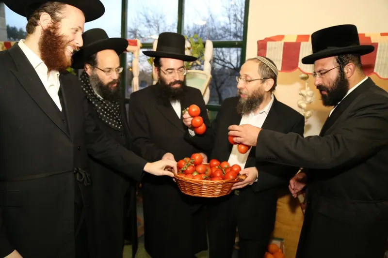 שמיטה רימון