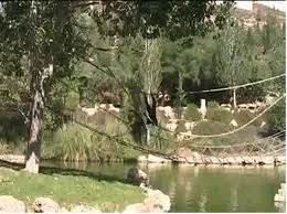 גן החיות