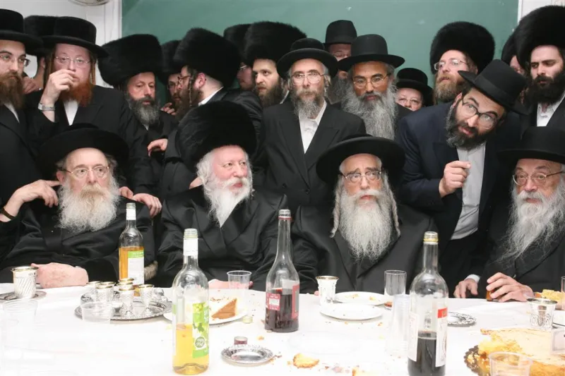גריינמן גור צאנז (1)