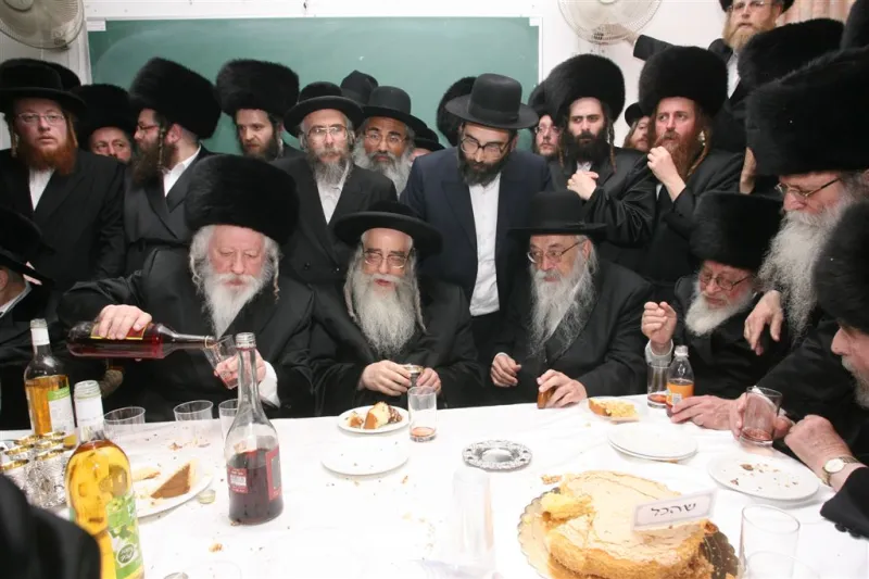 גריינמן גור צאנז (2)