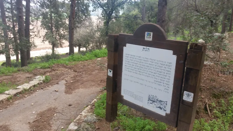 גת