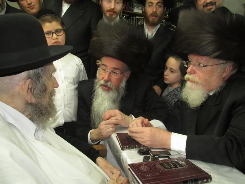 שטיינמן האחים הרב פנחס שפירא מת''א והרב אלימלך שפירא מב''ב