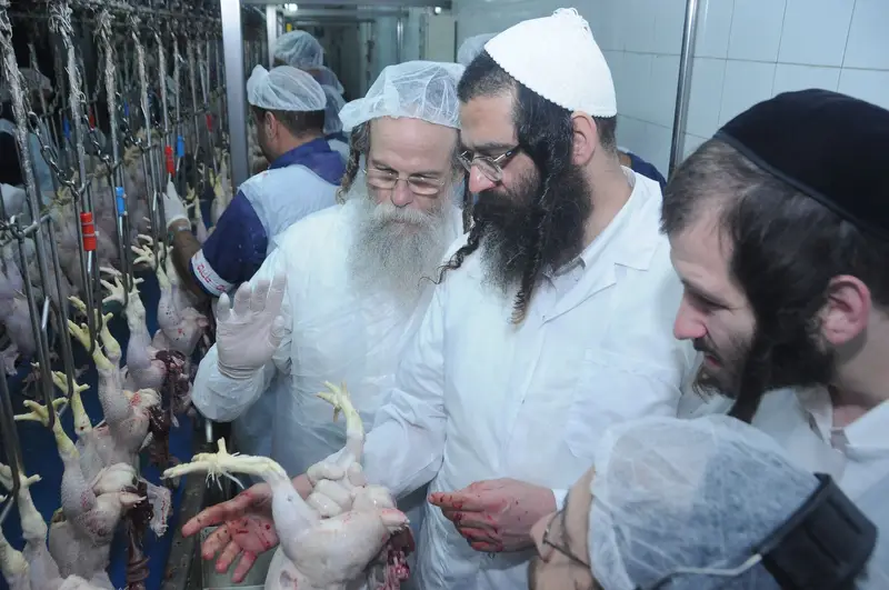 הגרמ ברנסדורפר בסיור במפעל עוף ירושלים