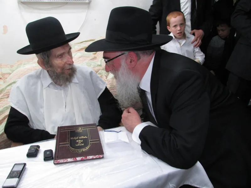 הגרצ אודסר שטיינמן 