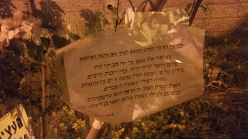 העץ של שלום 1