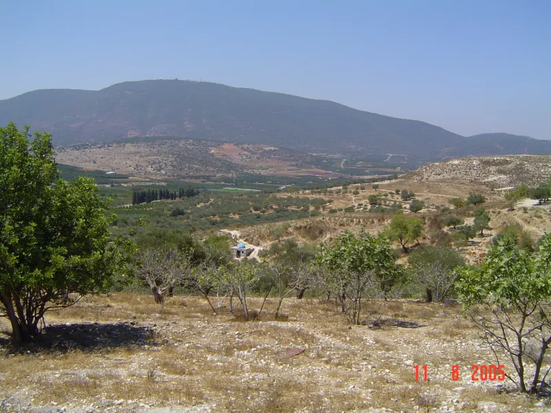 הר מירון