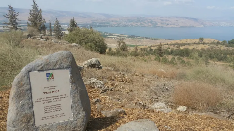 וף כנרת