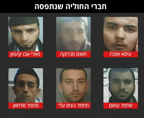 חוליה חמאס