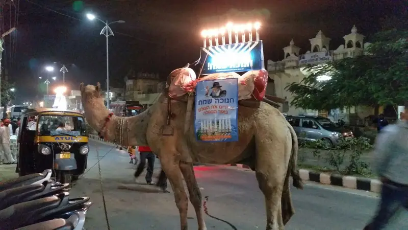 חנוכה בית חב''ד פושקר הודו (3)