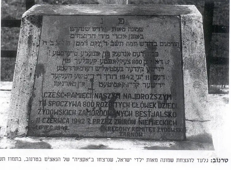 טרנוב