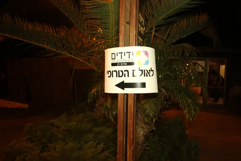 ידידים (2)