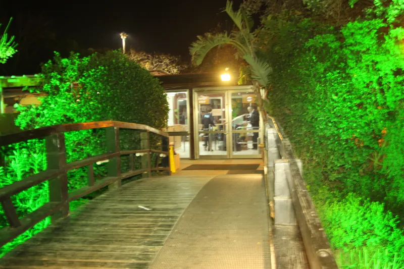 ידידים (6)