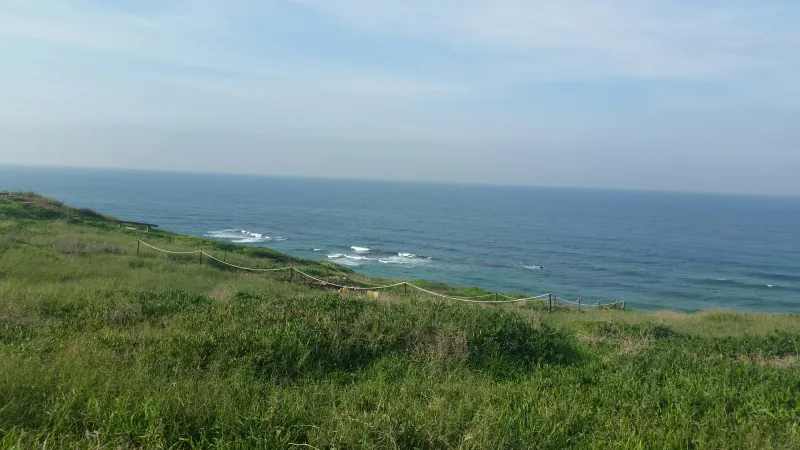 ים
