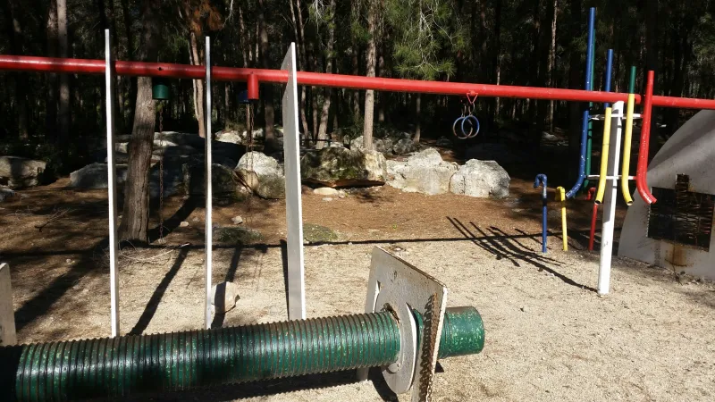 יער מוסיקלי