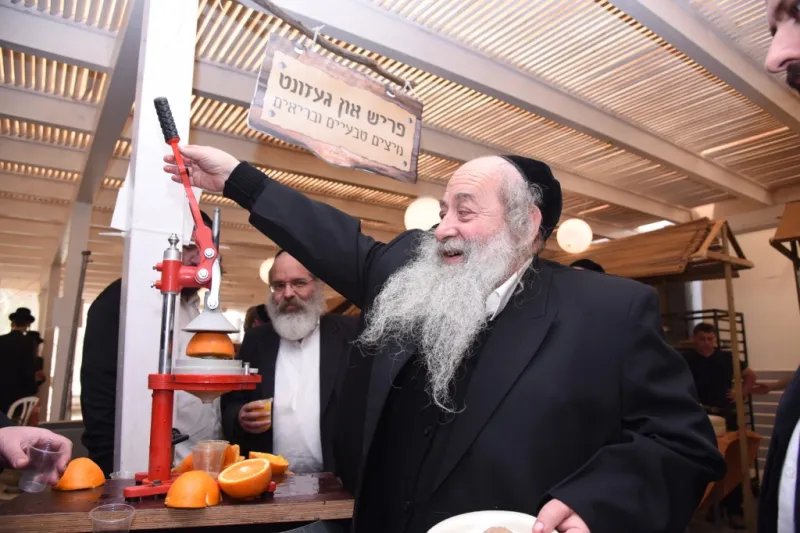 אוכל צאנז