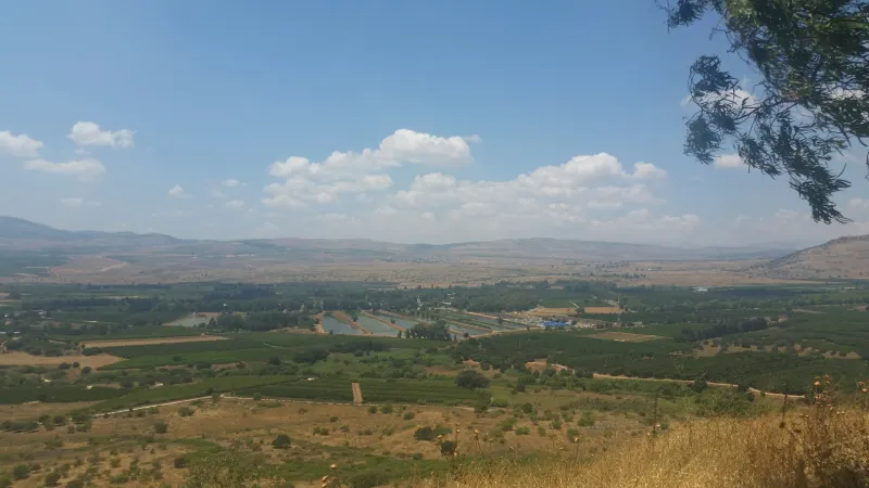 מבט צפוני