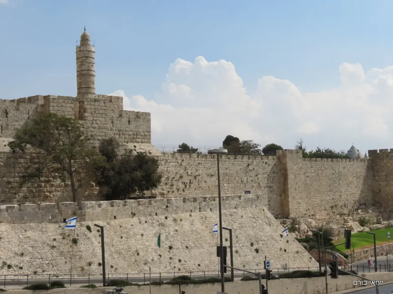 מגדל דוד