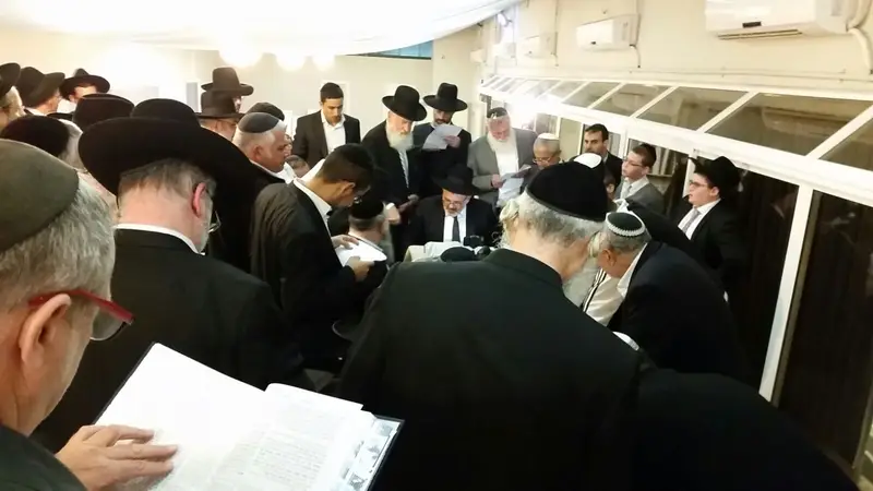 מילצקי 5