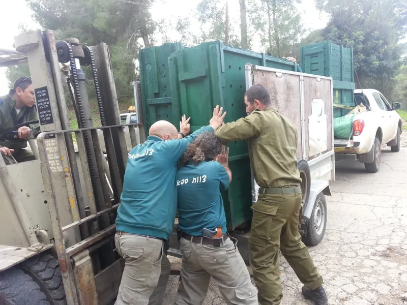 מעמיסים ארגזים