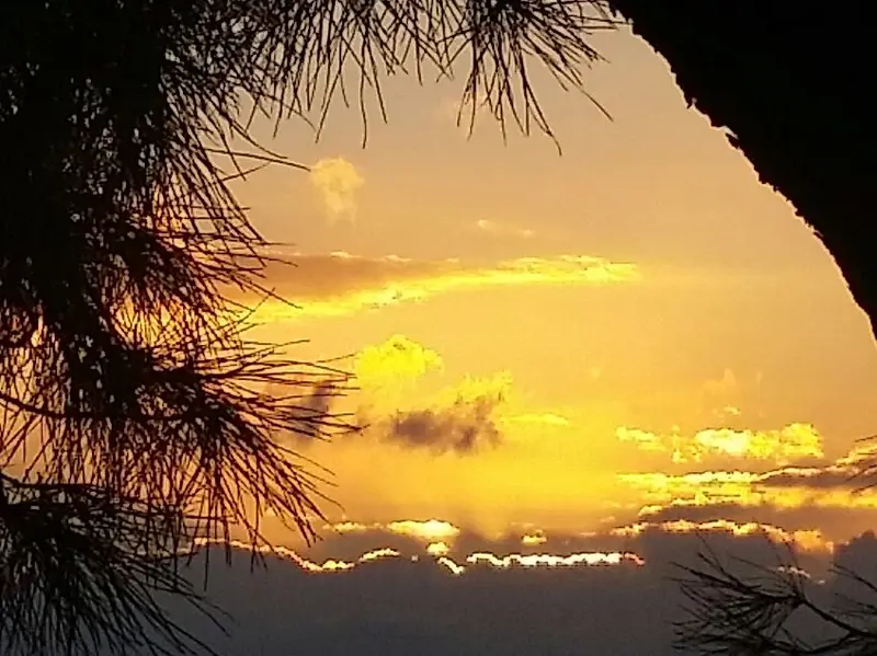 יפה שתיקה לשקיעה