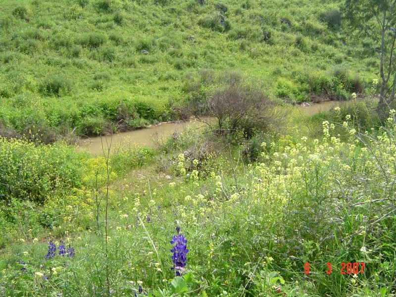 נחל תבור 013