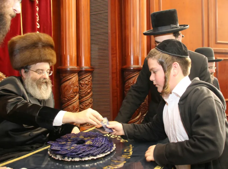 סאדיגורה (2)