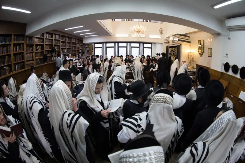 סאטמר אנטוורפן (37)