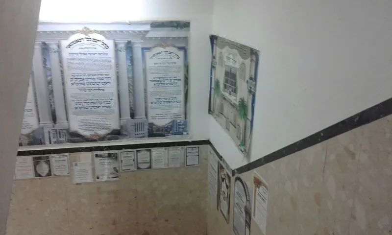 סאטמר ביקור ההכנות (3)