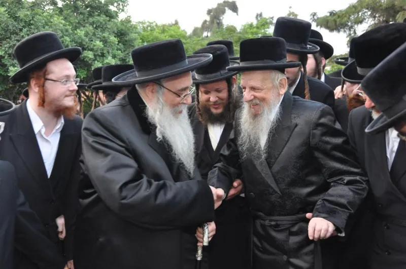 סערט ויזניץ תשע (3)