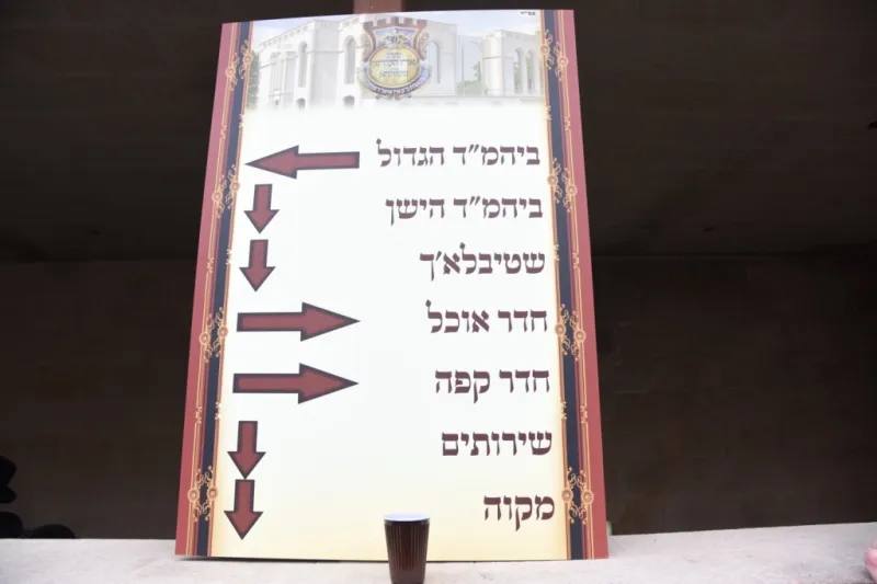סקווירא בישראל (19)
