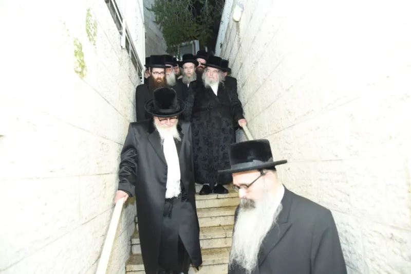 סקווירא בעלזא (15)