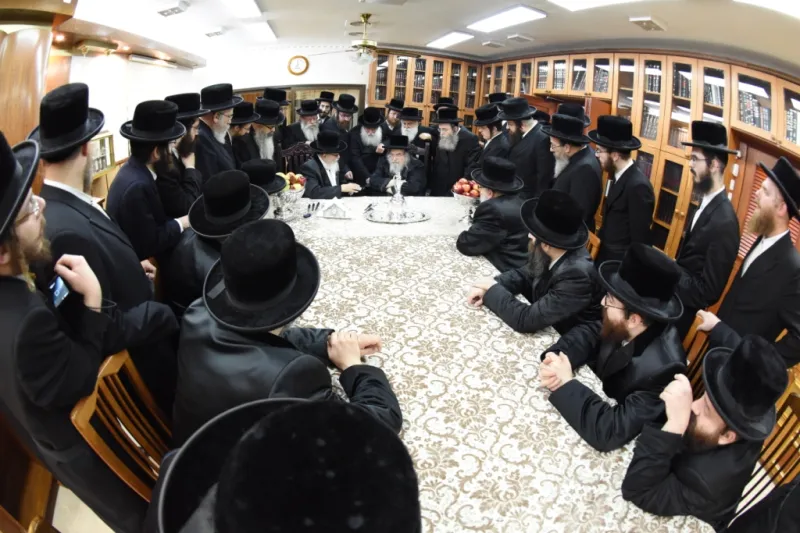 סקווירא בעלזא (4)