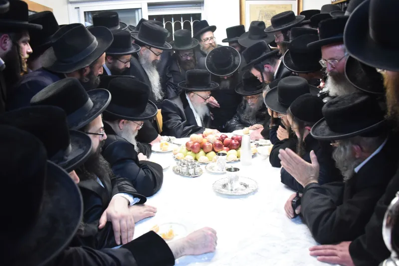 סקווירא שוקי לרר (10)