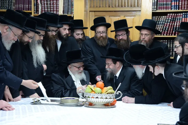 סקווירא שוקי לרר (1)