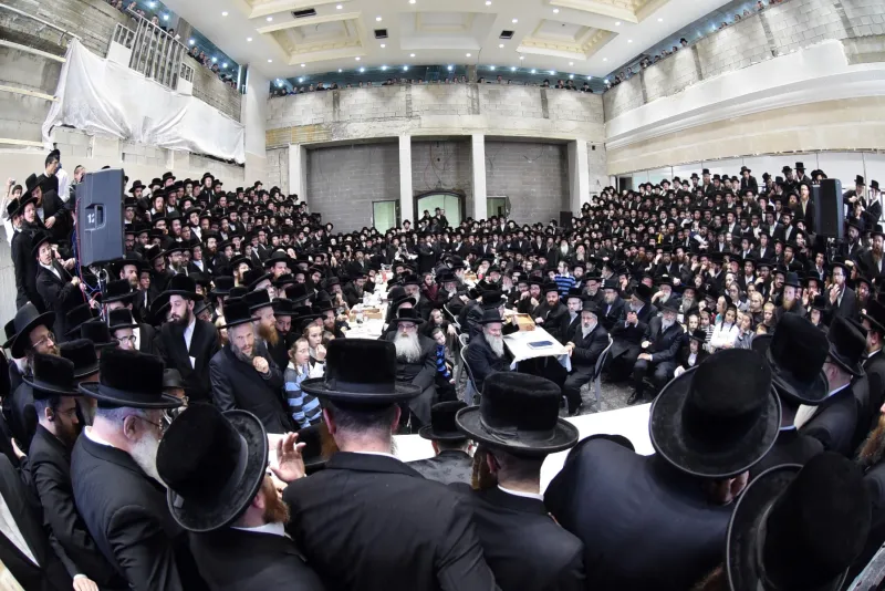 סקווירא שוקי לרר (15)