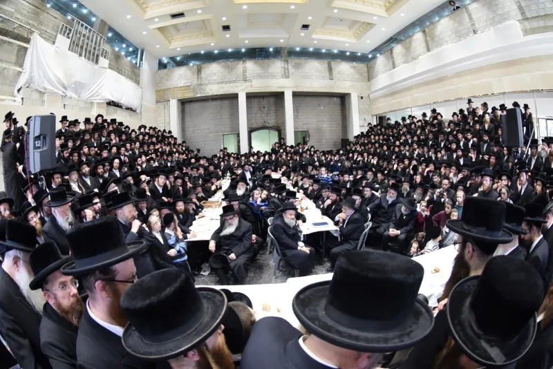 סקווירא שוקי לרר (18)