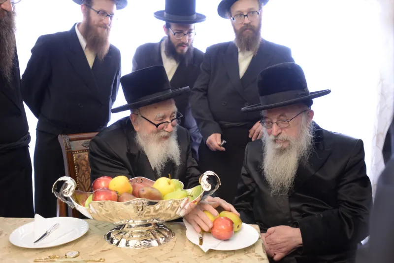 סקווירא שוקי לרר (28)