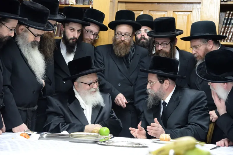 סקווירא שוקי לרר (3)