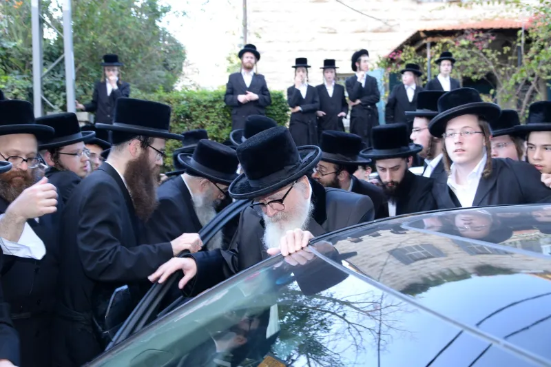 סקווירא שוקי לרר (6)