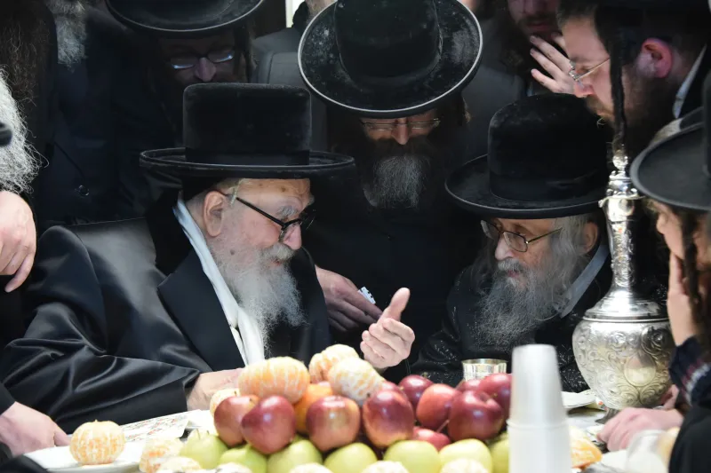 סקווירא שוקי לרר (9)