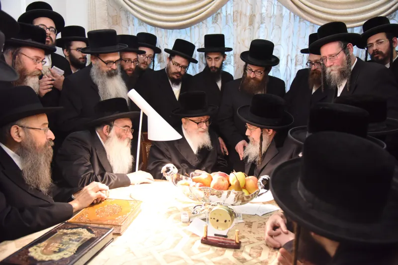 סקויירא צילום משה גולדטיין (10)